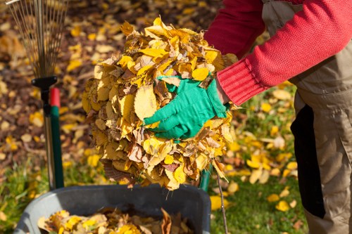 Furniture Disposal Services in Brockley